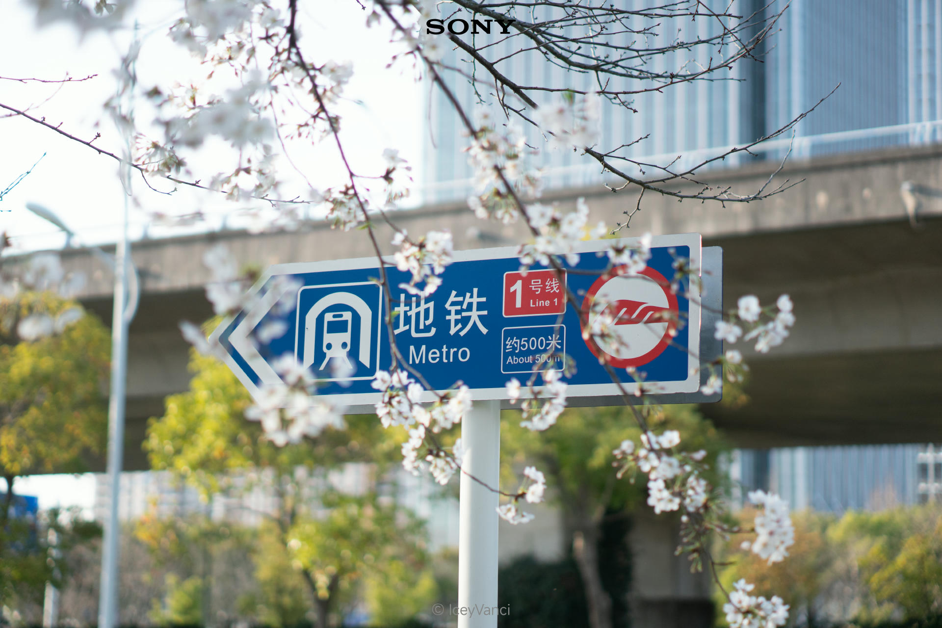 示例图片