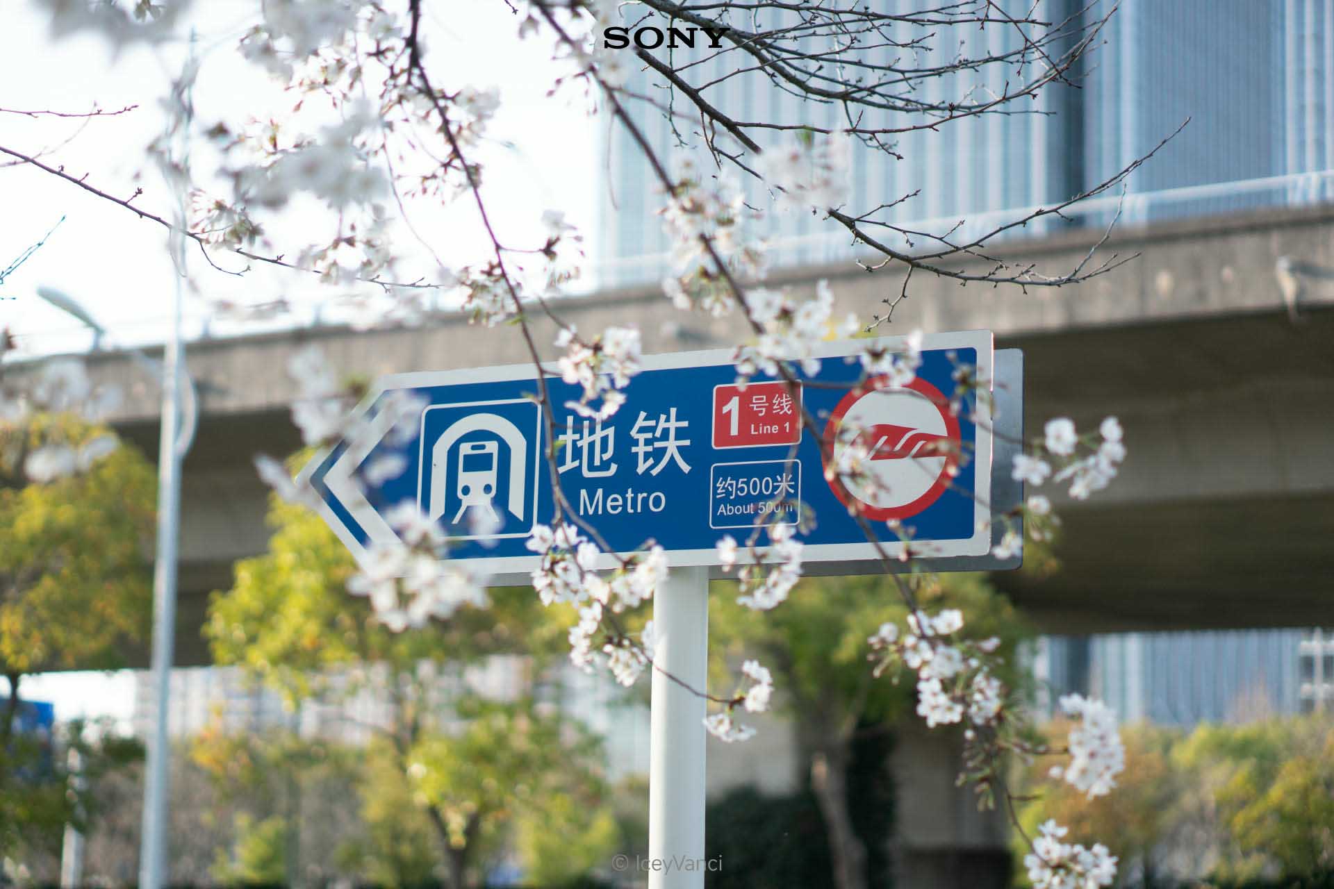 示例图片